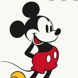 Meet your Posher, Mickey